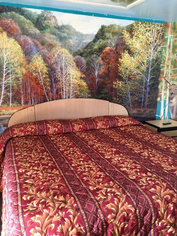 Choice Inn サンアントニオ 部屋 写真